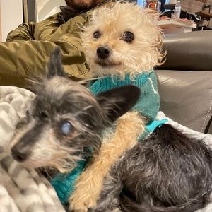 Meet your Posher, Isabel